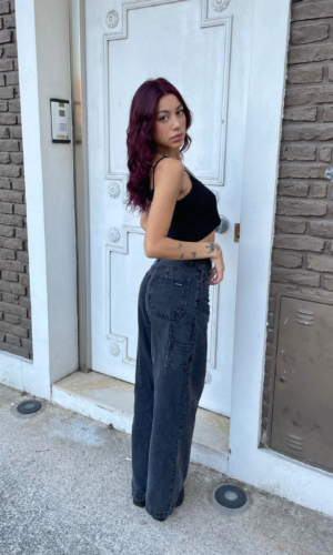 Wide Leg Sasha Gris